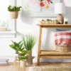 Green Plant In Plant Stand - Threshold™ -Brick Wall GUEST 00ae8a9a 2365 449e 9a30 b0c7967bf908