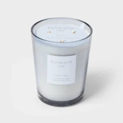 Colored Vase Glass With Dustcover Rainwater Lily Candle Gray - Threshold™ -Brick Wall GUEST 1a738ead 7e7a 4f46 b4ff 79439b3488d0