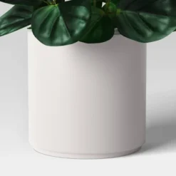 Green Leaf Plant In White Pot - Threshold™ -Brick Wall GUEST 45cbd0ee 3490 446a b39c ace4ab16f98f