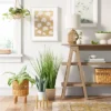Small Snake Plant In Plant Stand - Threshold™ -Brick Wall GUEST 489d175d 669a 46a9 aa02 7878efa3550b