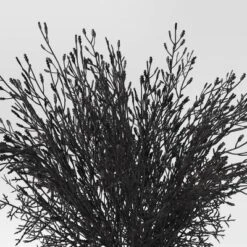 Halloween Grass Arrangement - Threshold™ 6 Halloween Grass Arrangement - Threshold™ -Brick Wall GUEST 5834dd4b e292 4e7e 86c6 4be244afb3d9