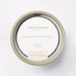 20oz Ceramic Blackberry Eucalyptus Candle Green - Threshold™ Designed With Studio McGee -Brick Wall GUEST 870ce181 98d9 4be6 a455 6aadadca64e1