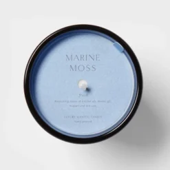 Colored Vase Glass With Dustcover Marine Moss Candle Blue - Threshold™ -Brick Wall GUEST e5035607 20cd 4e66 bc9b 502503c48b69